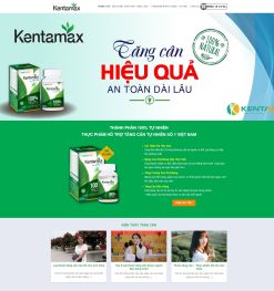 Mẫu Website Theme WordPress Thực Phẩm 08